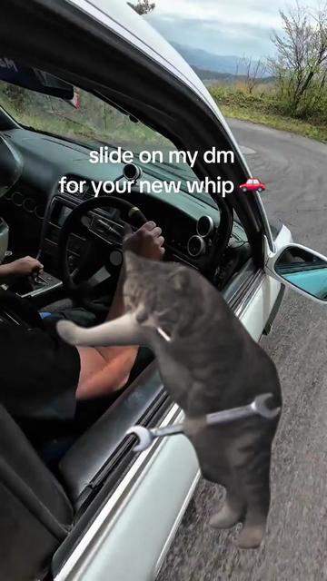 @Tito's Florida Cars