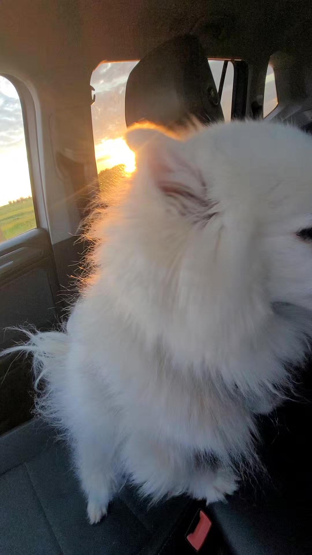 @Jayne(Janaya)✝️🐾☕️