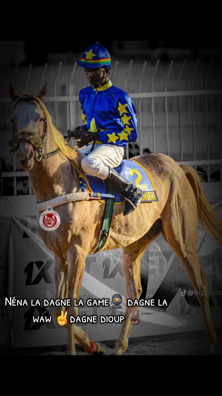 @Metzo🐎 bou tawfekh⚔️