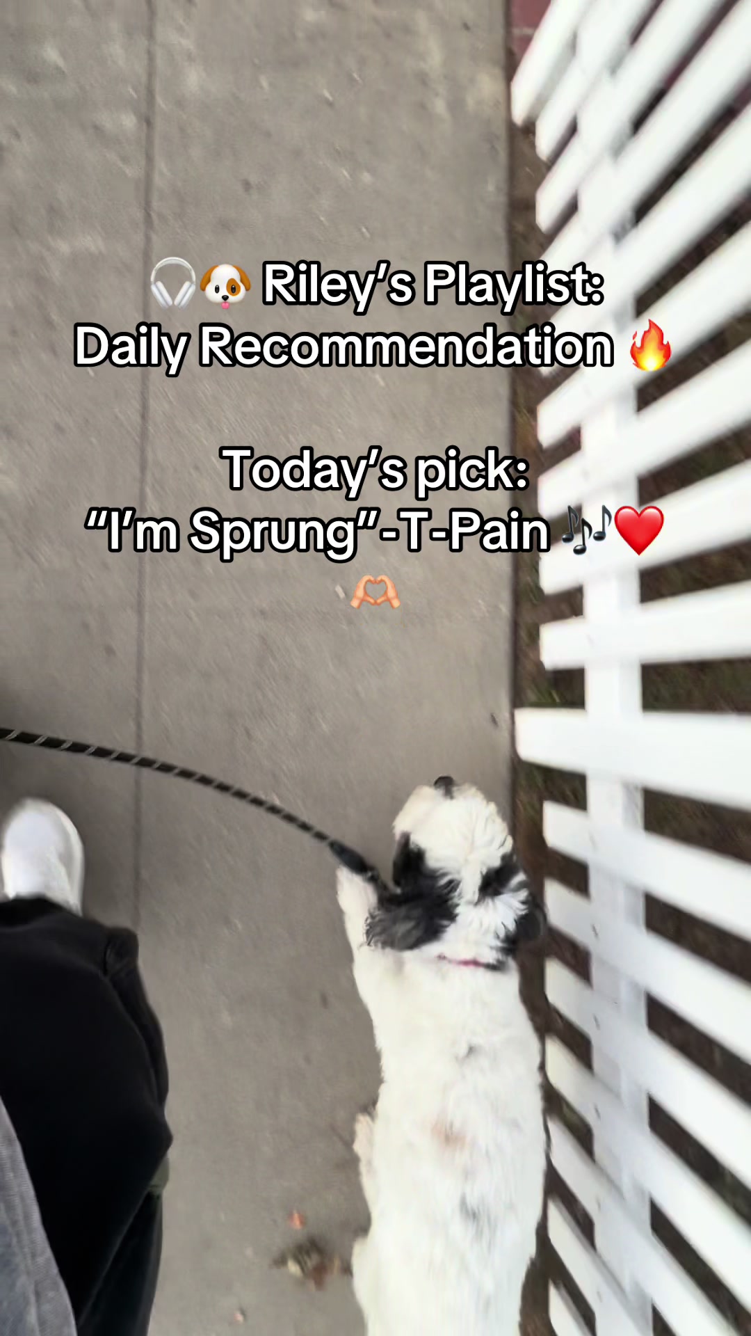 @Ms.Chilli 🌶️