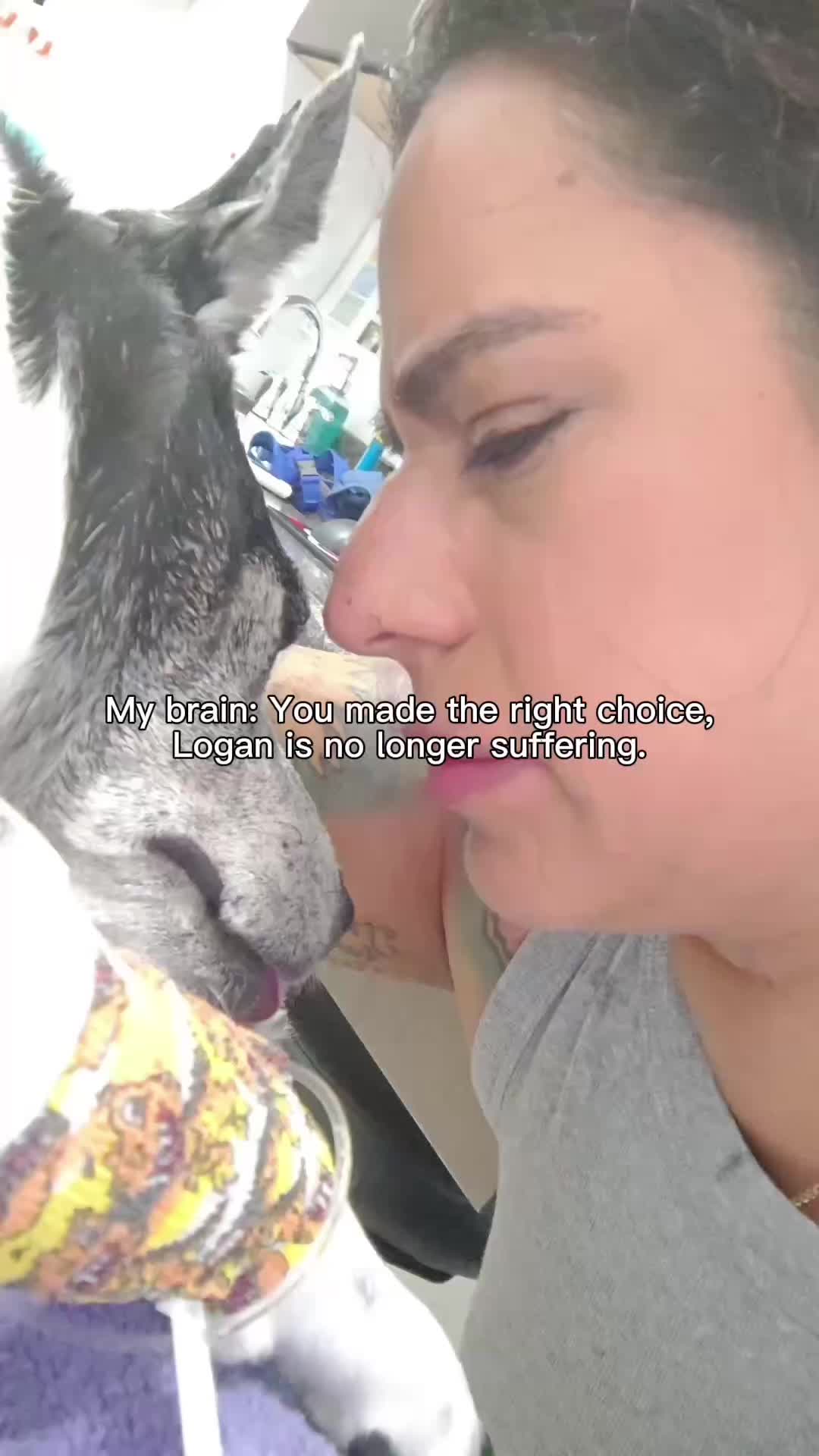 @bellitabell