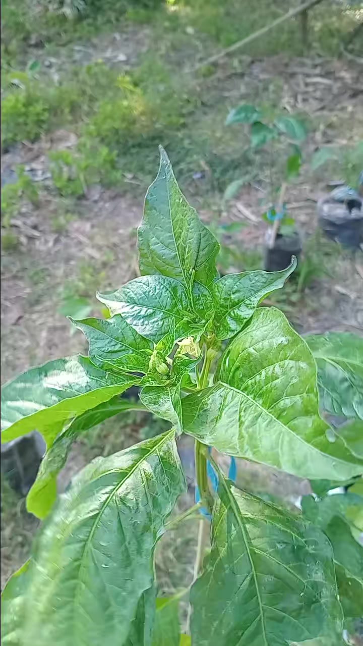 @Uuuuuuu 😜