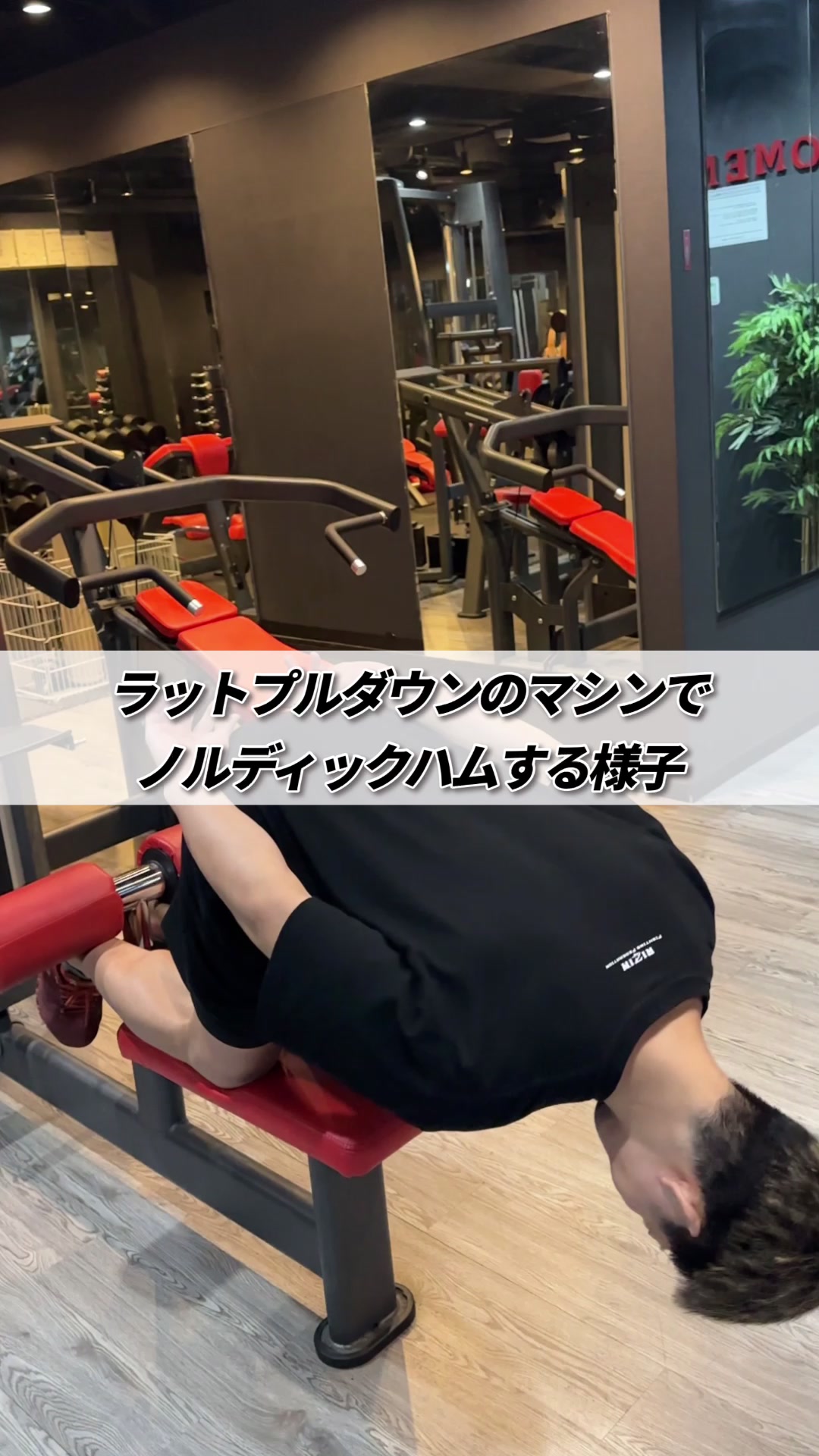 @たんぱくとりお