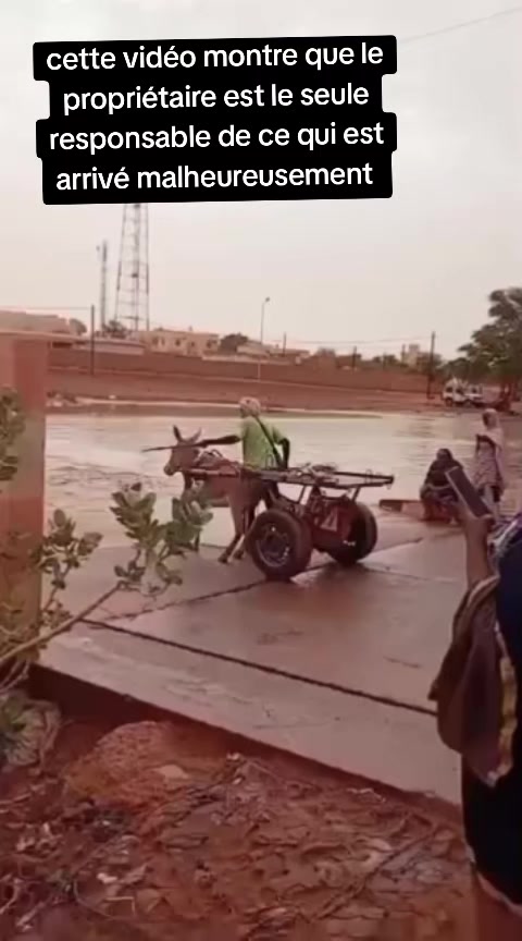 @Amar DjKadian