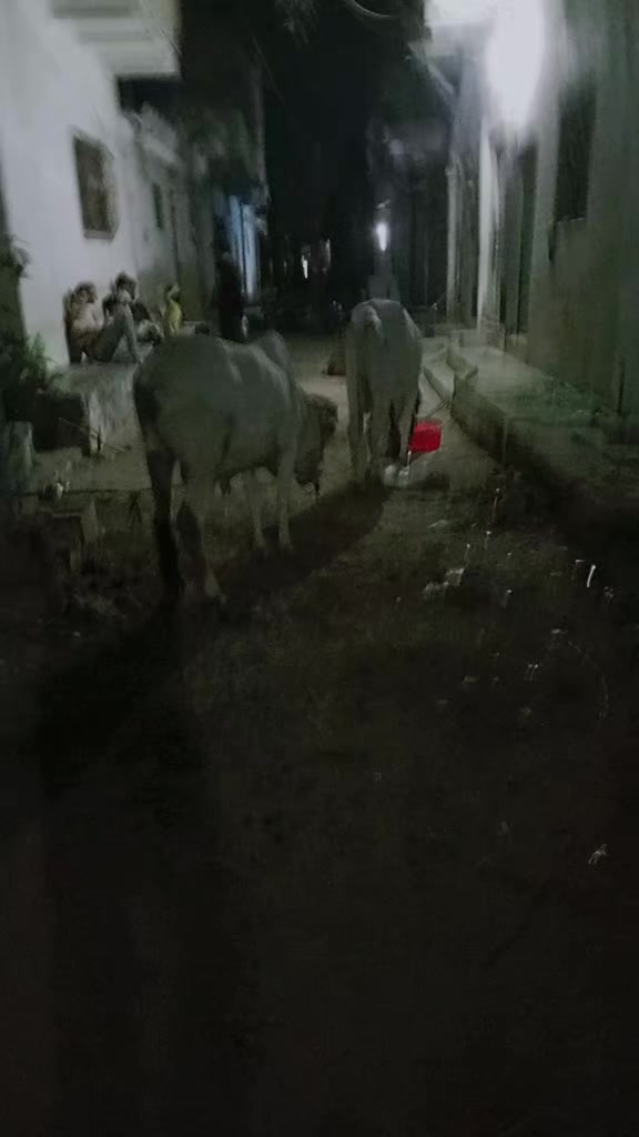 @Adnan ansari