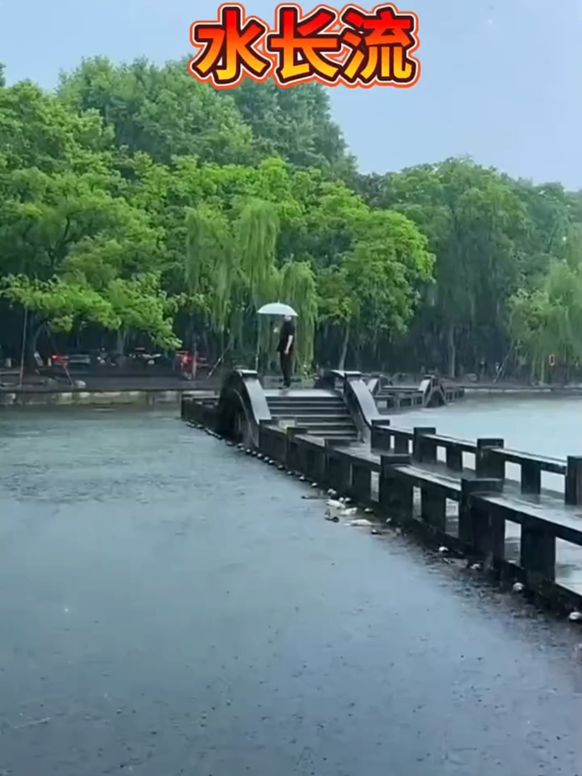 @美丽的世界