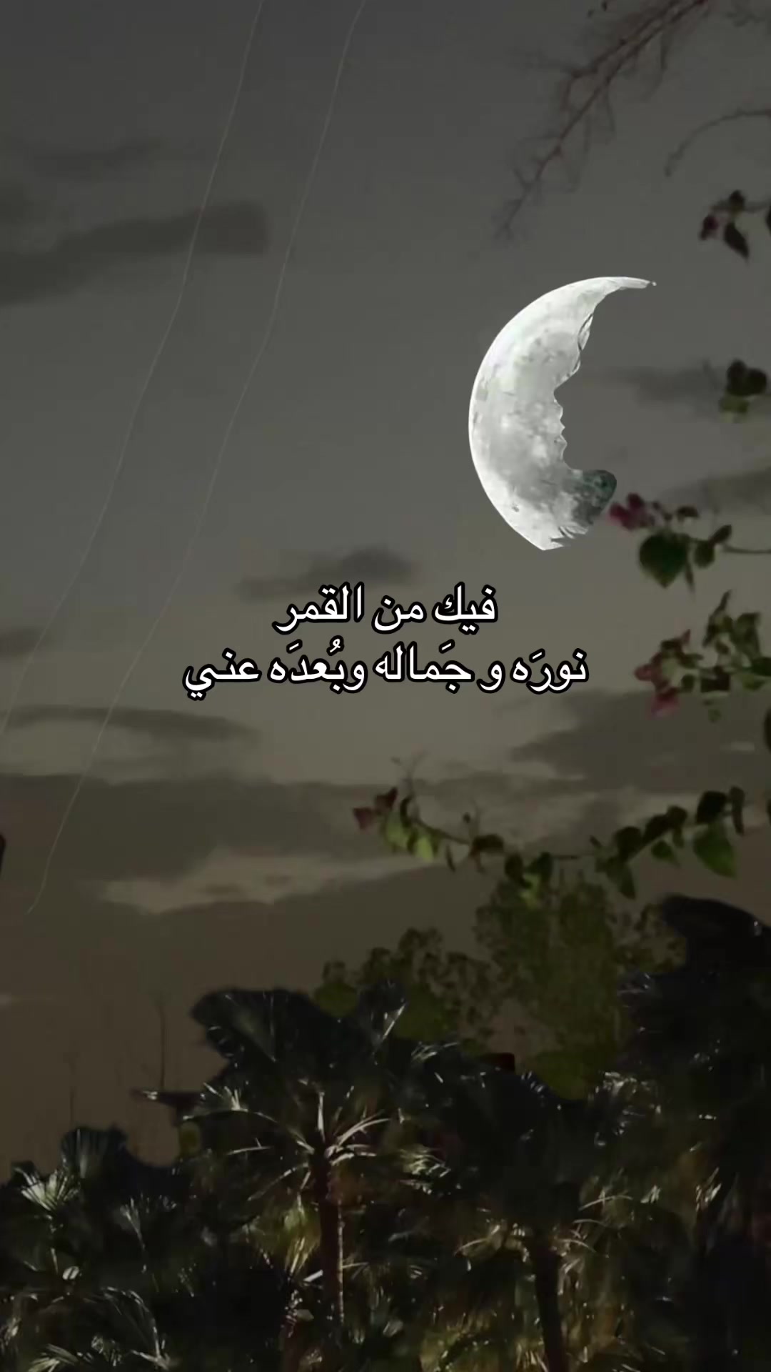 @AL nawawi 🦅