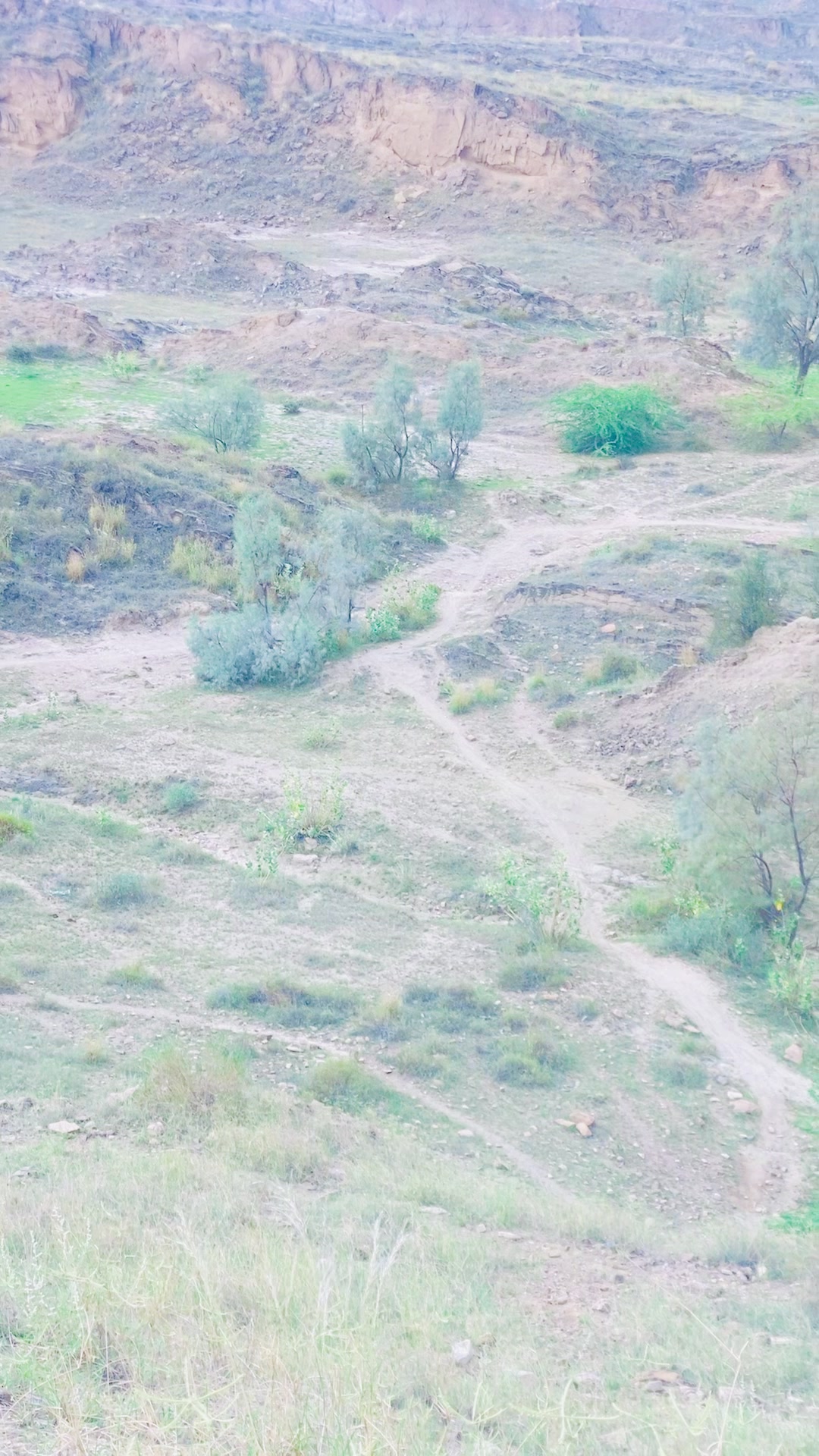 @کمانڈر سلیم چکرانی 🥀
