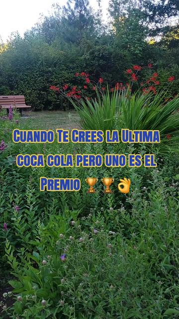 @✨️🌷Ďaľaƴ ✨️