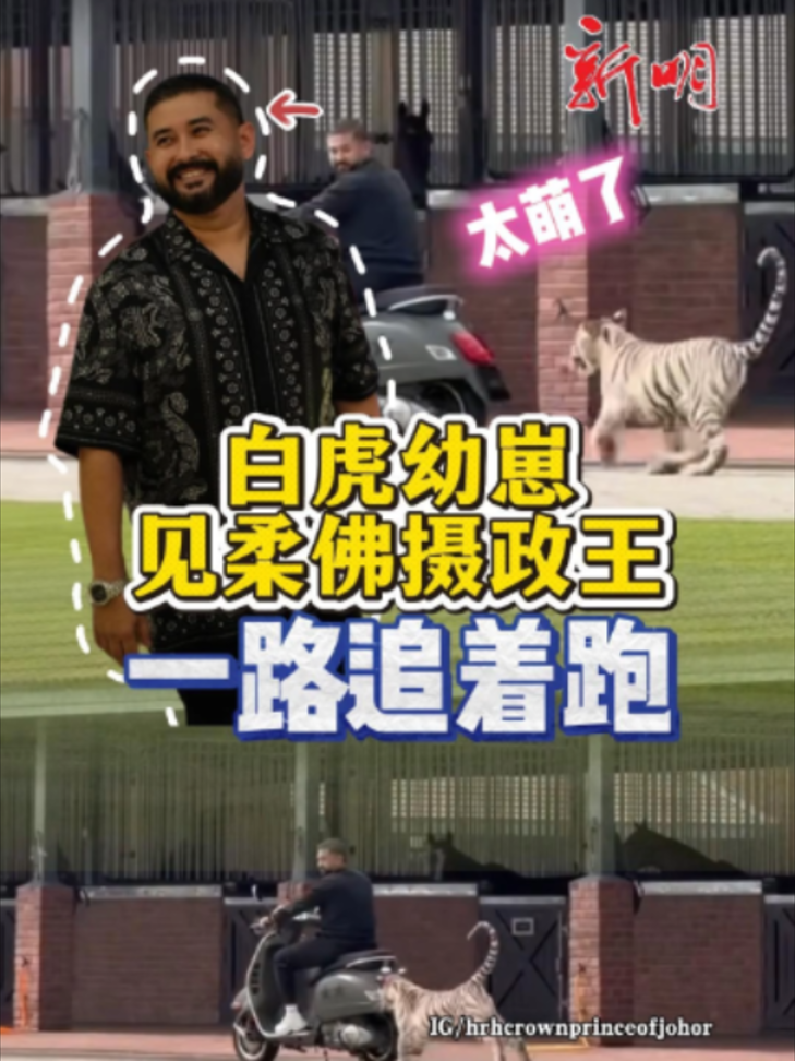 @新明日报