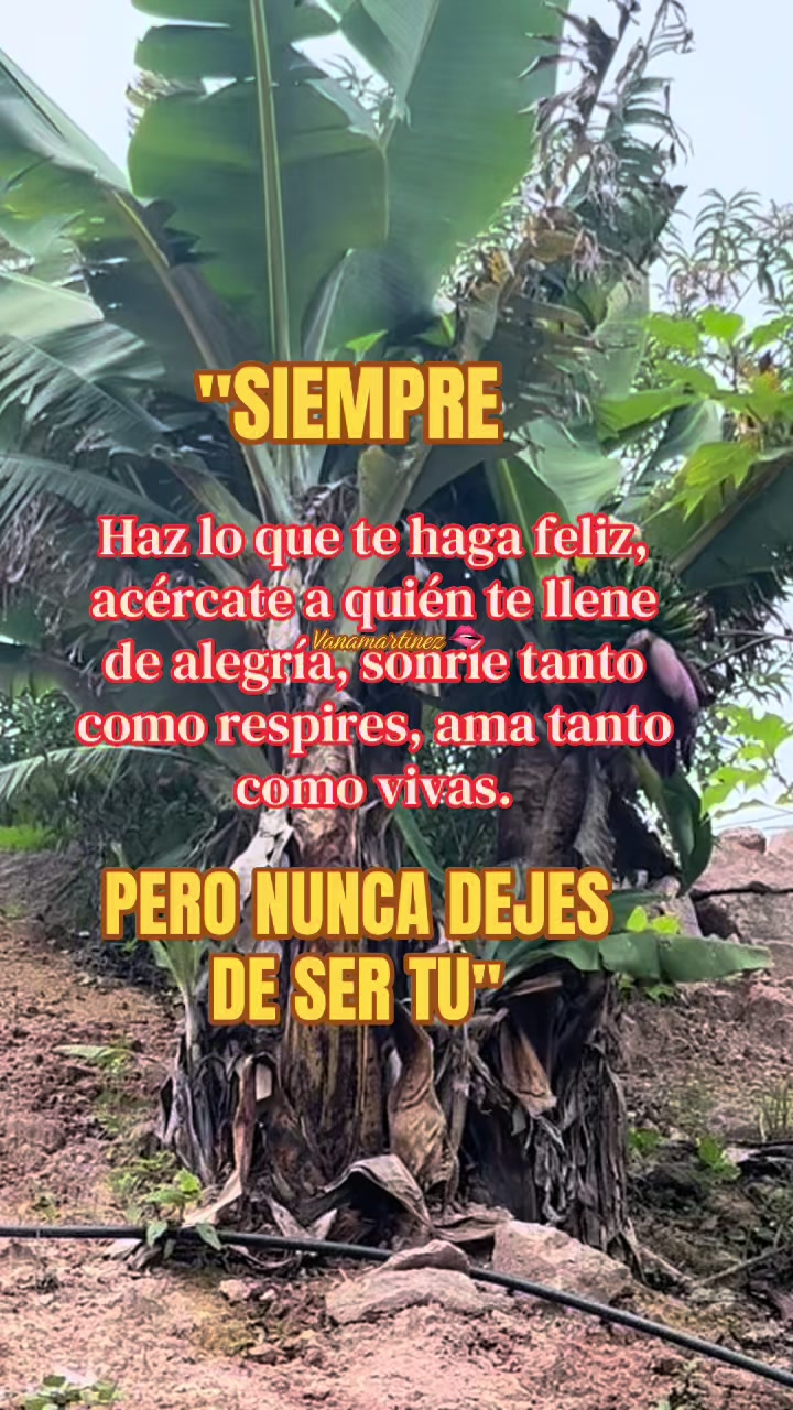 @vanamartinez93🫦