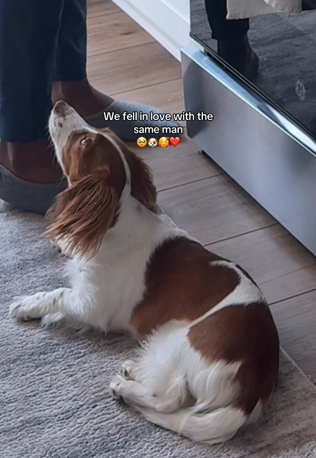 @delmimcuellar