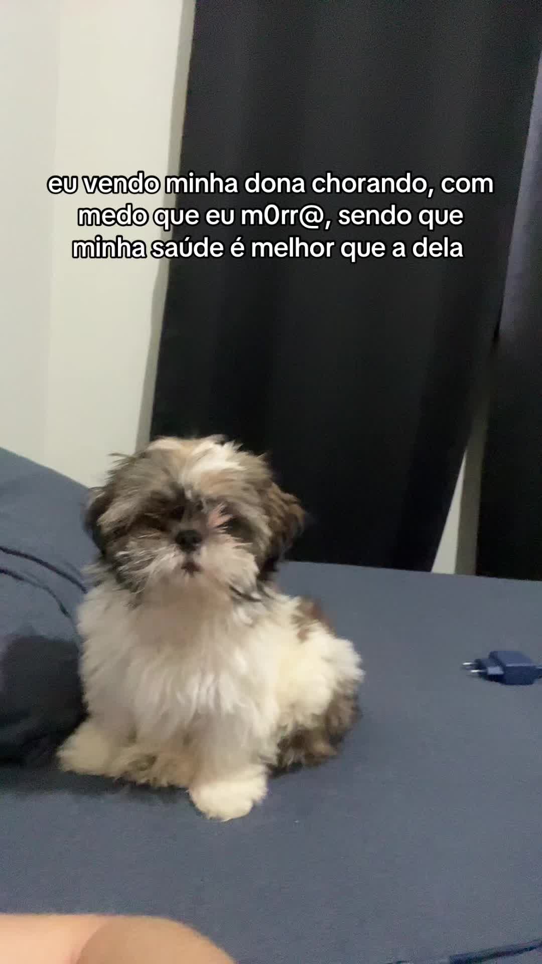 @Áxella