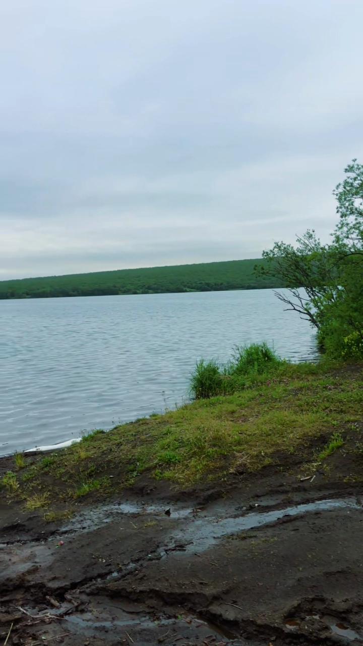 @Регина Креминская