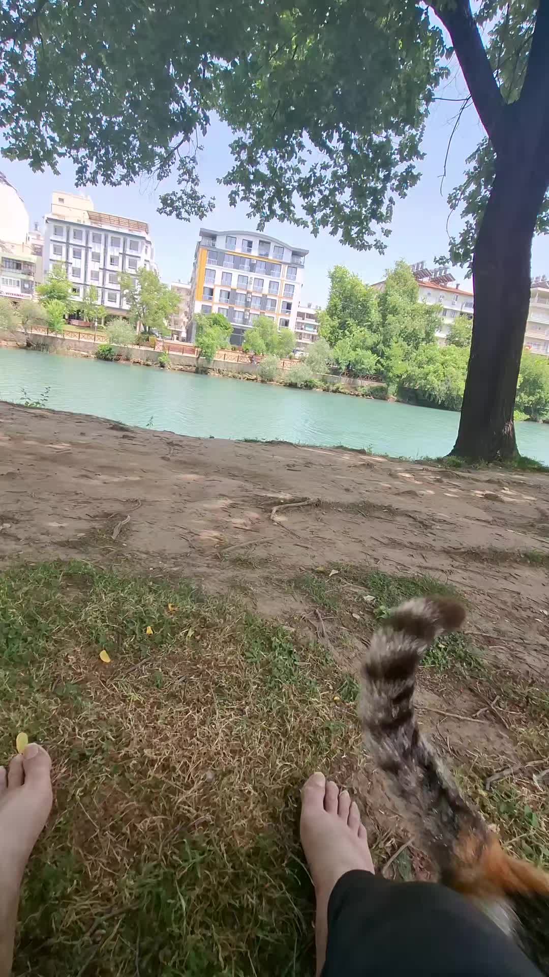 @&Ouml;zcan Bakman