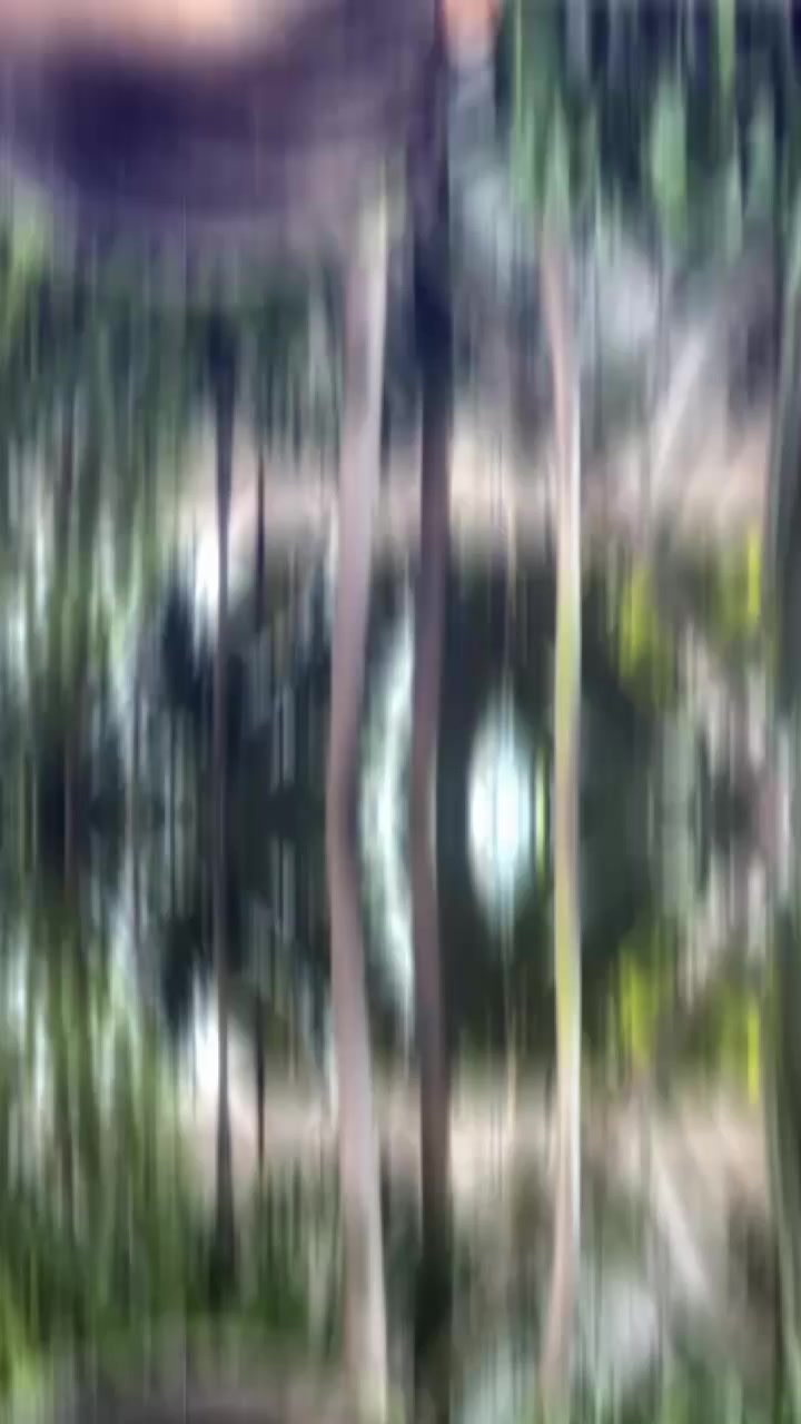 @Sasan_56