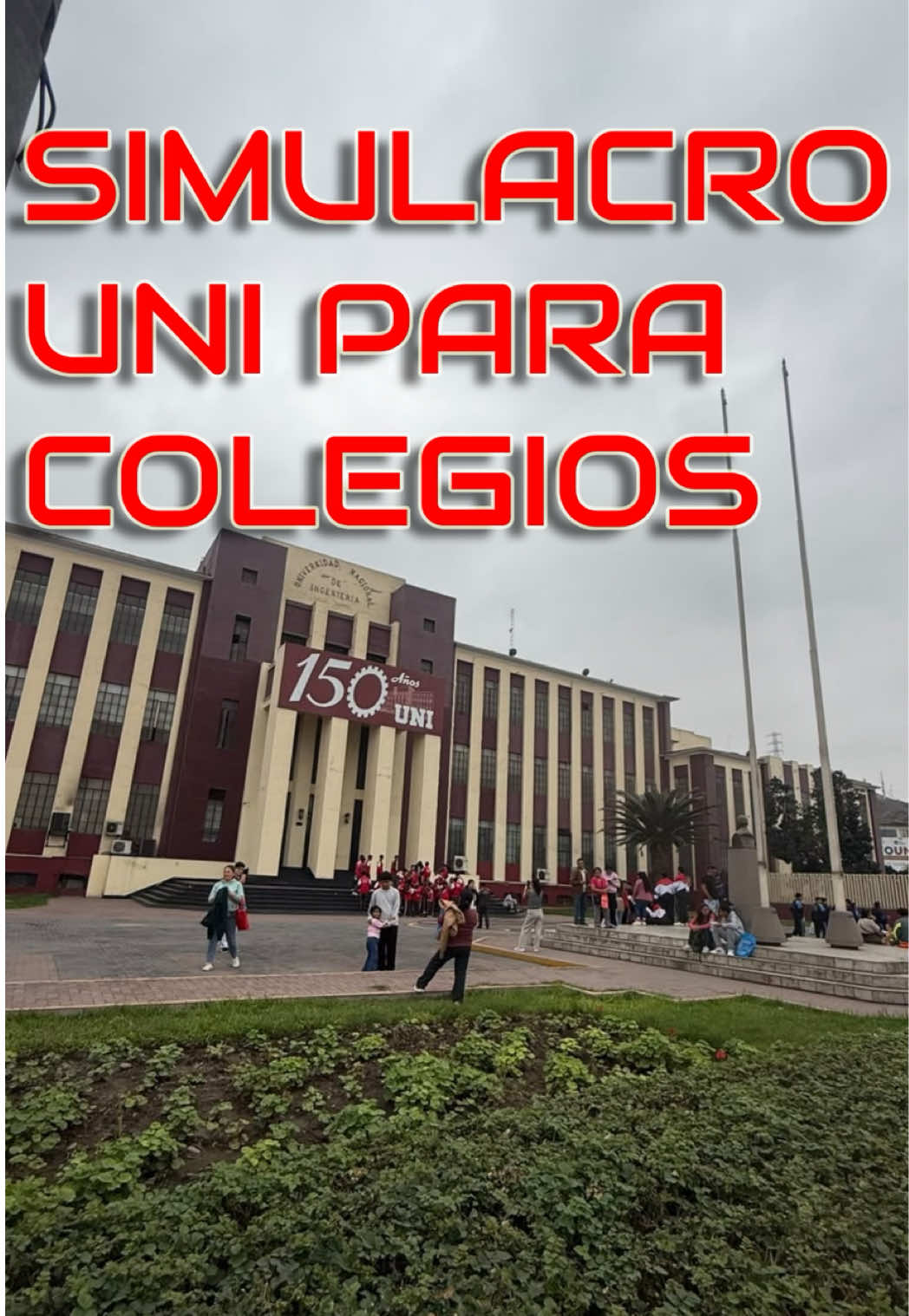@Robin Amado