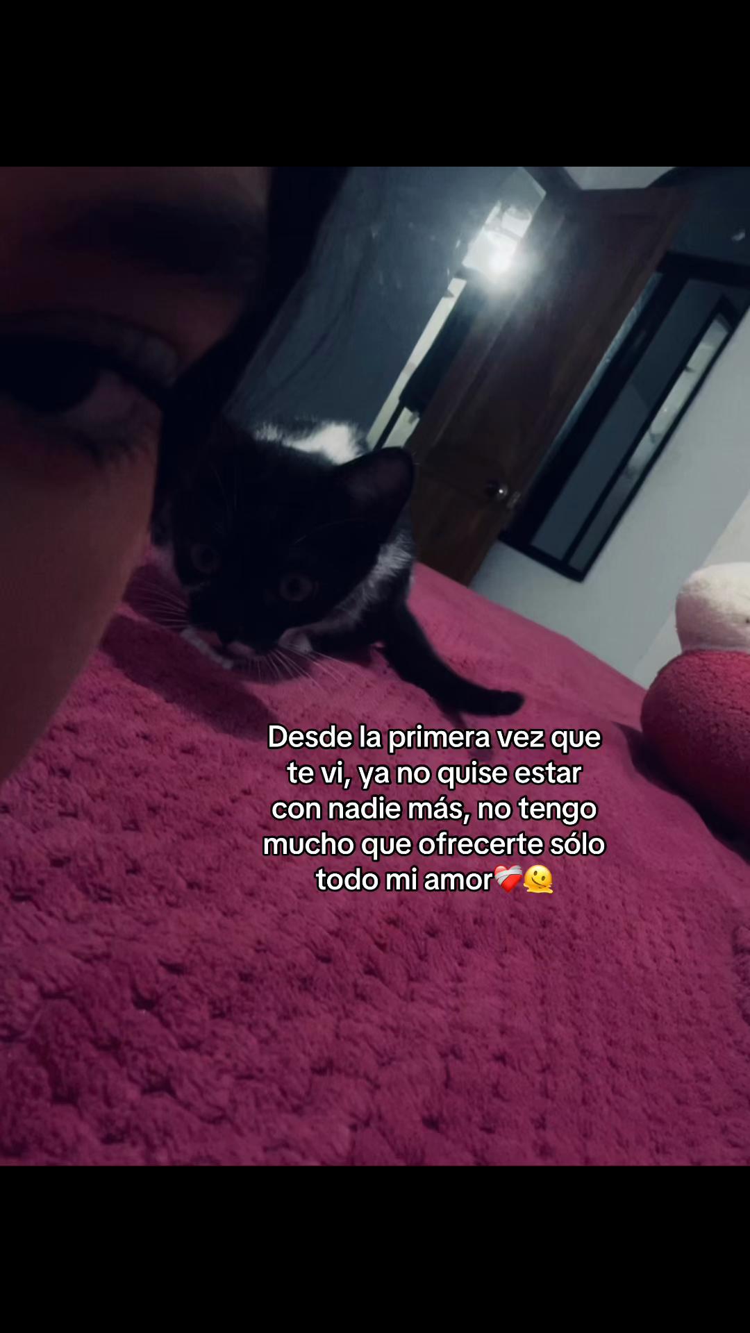 @¡๐๐ถ๐๐พ โ๐๐๐ถ๐.!