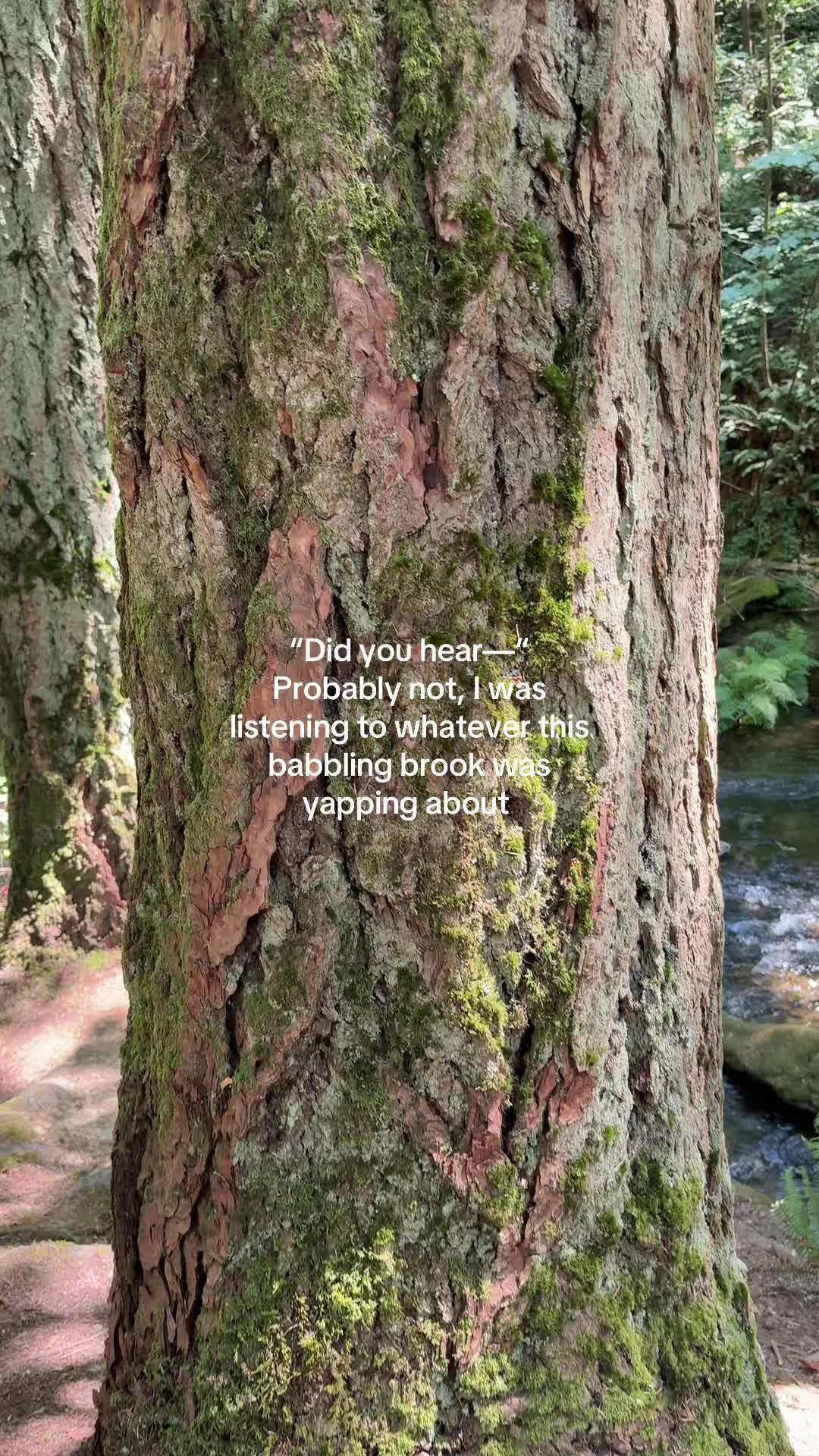 @Olivia | Outdoorsy Travel