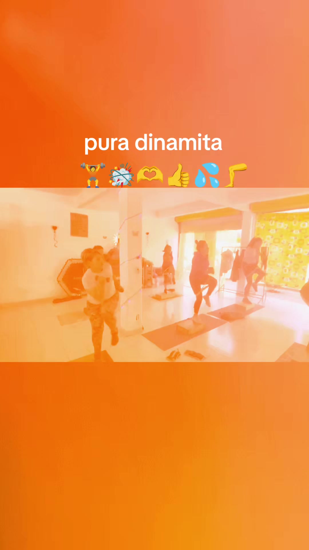 @Reina
