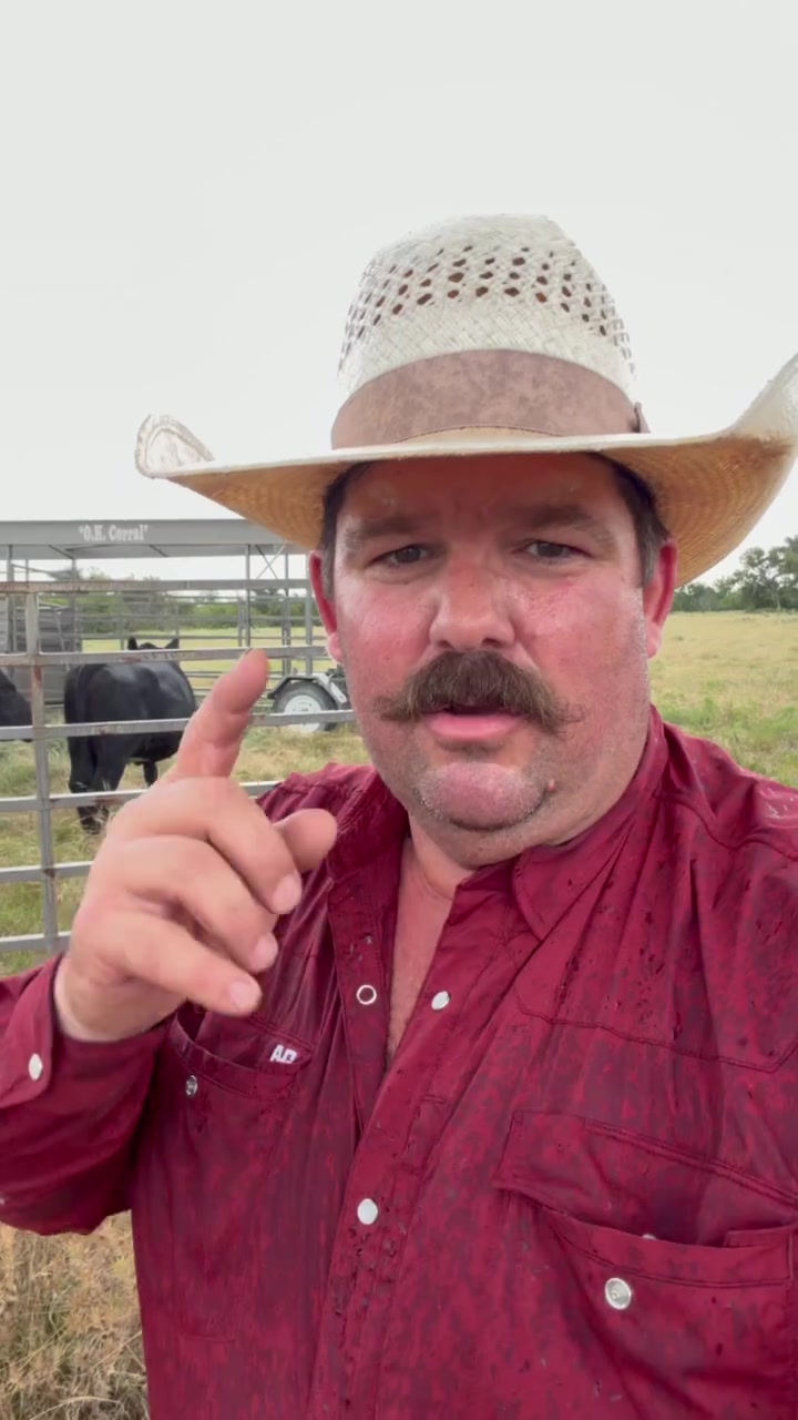 @Bar 7 Ranch