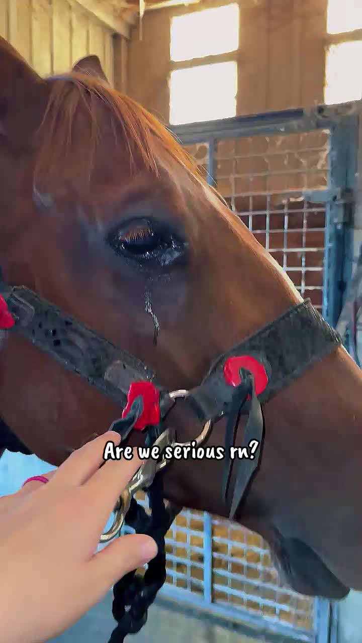 @꧁ꋬꋊꍌ꒐ꏂ ꍌꄲꊰꊰ꒐ꋊ꧂