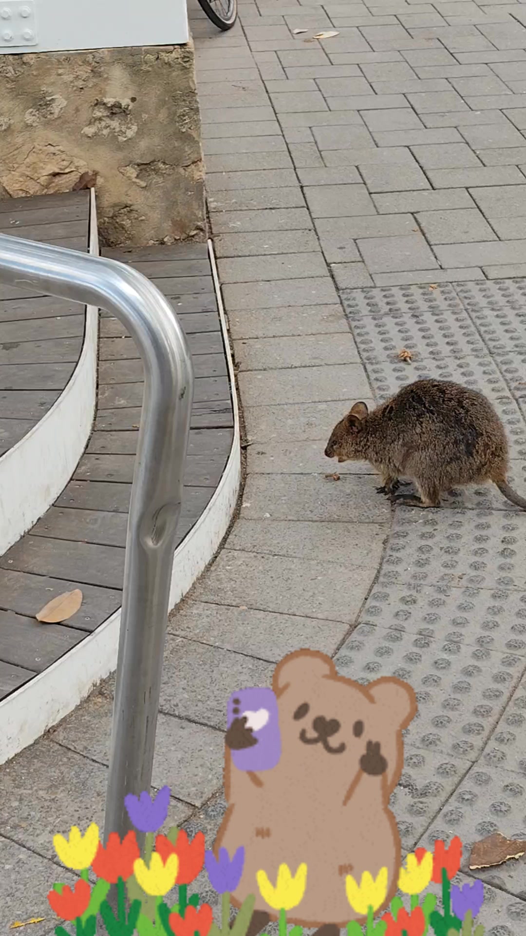@MWC
