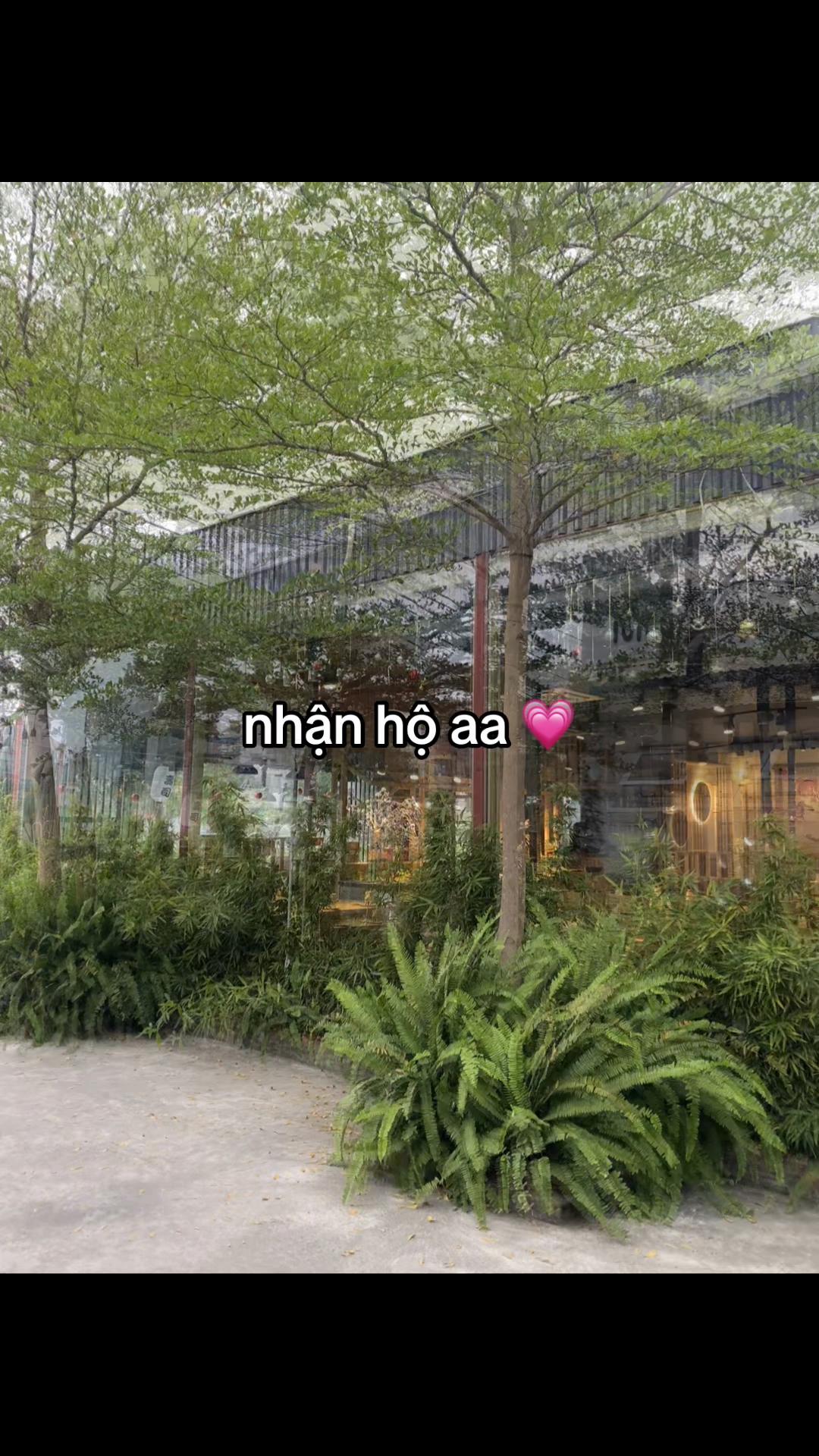 @hi