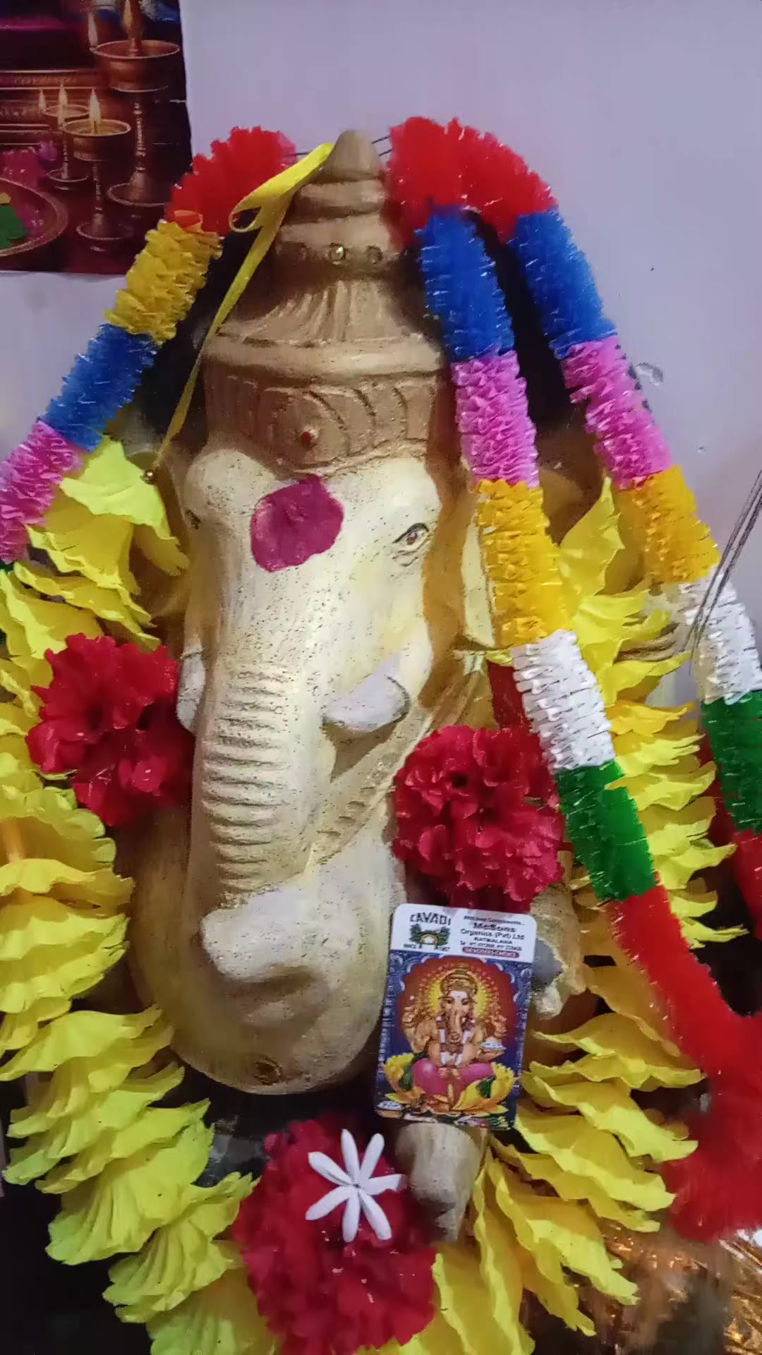 @Udayangani Dharamapala