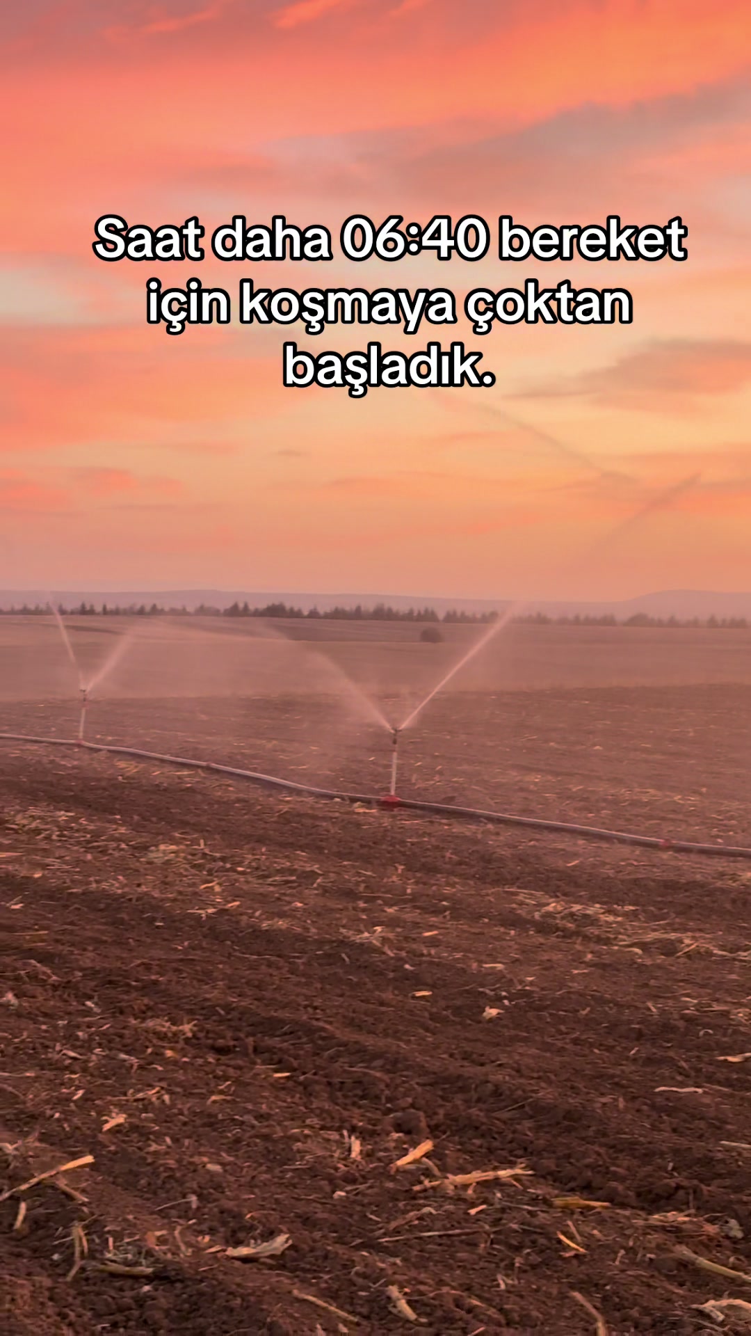 @İsmail EFE
