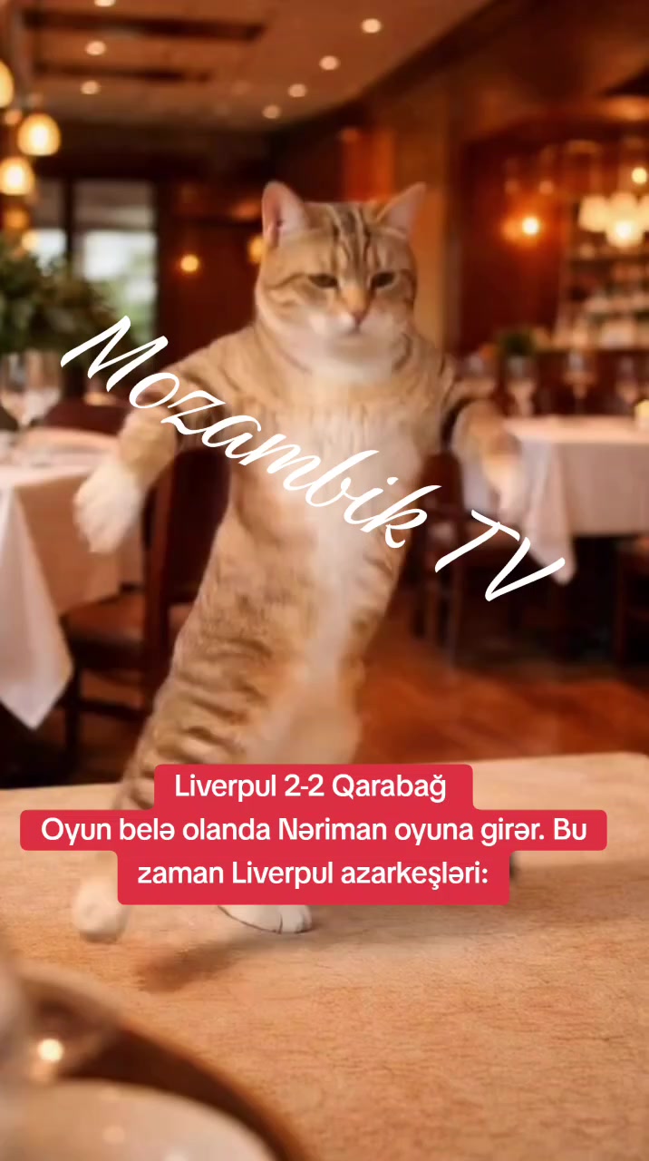 @MozambikTV (MzTV)