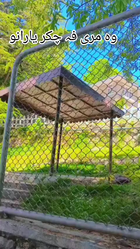 @saeed kakar 12345