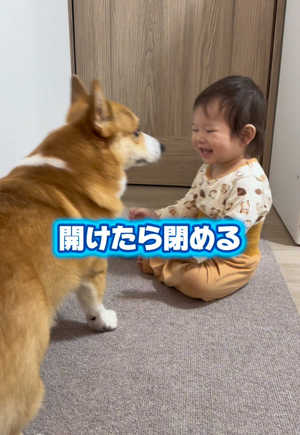 @トロン