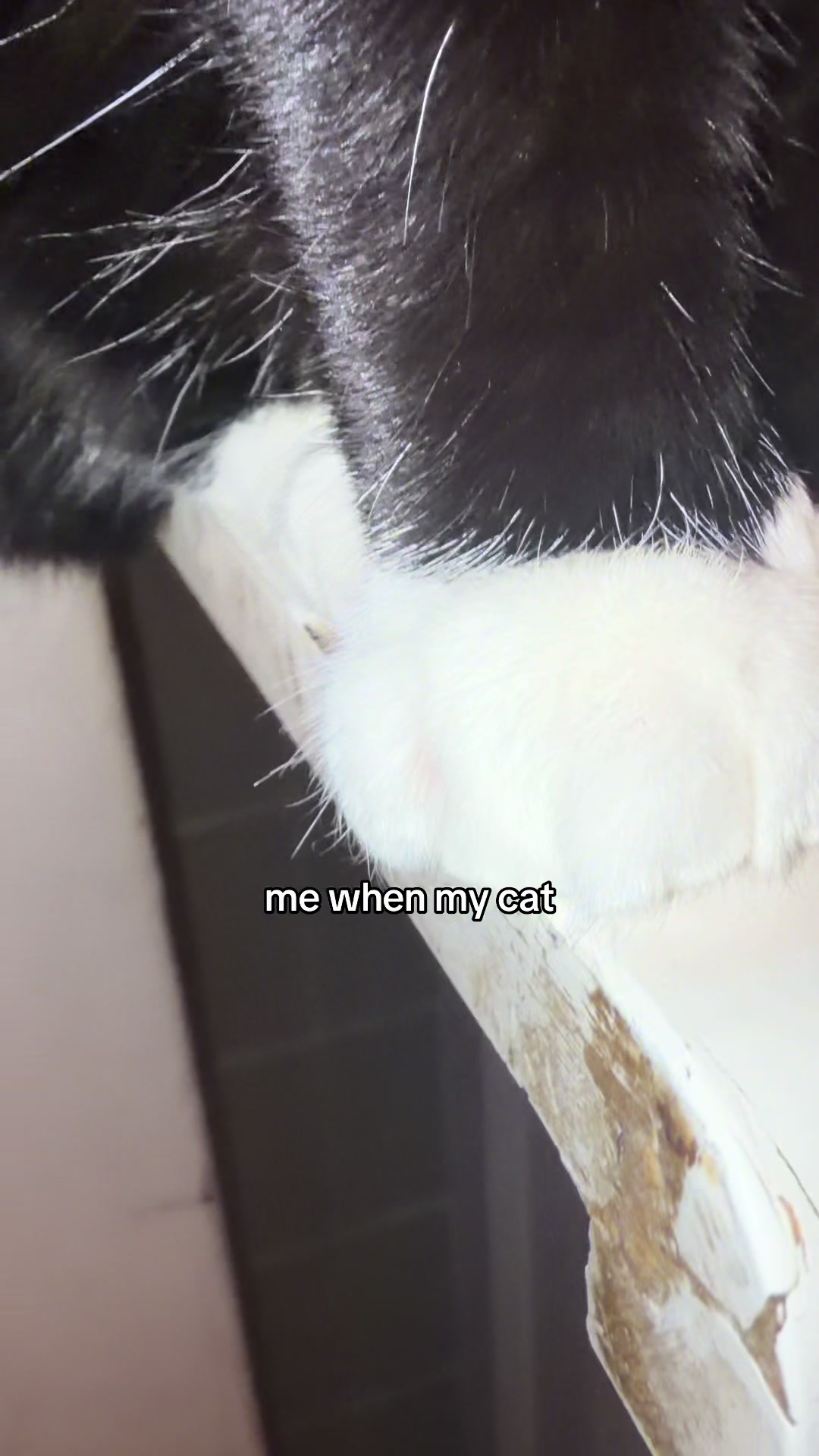 @𝓰𝓪𝓫𝔂🥥🩵🧸