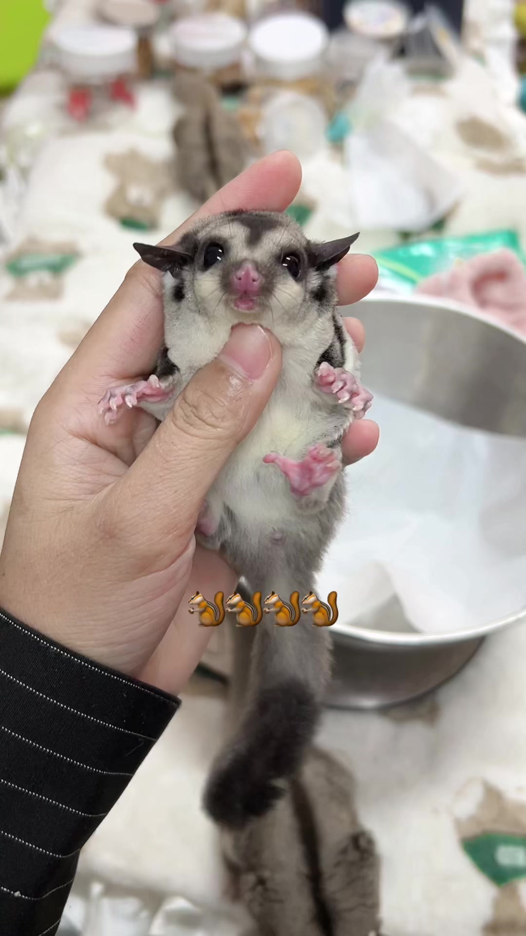 @jesugarglider.id1