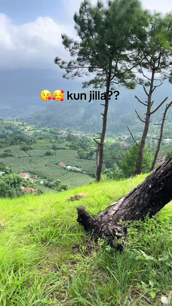 @Mayalu