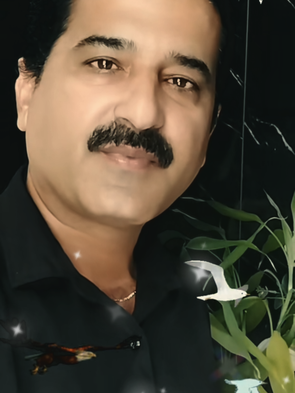 @Jaldeep Joshi