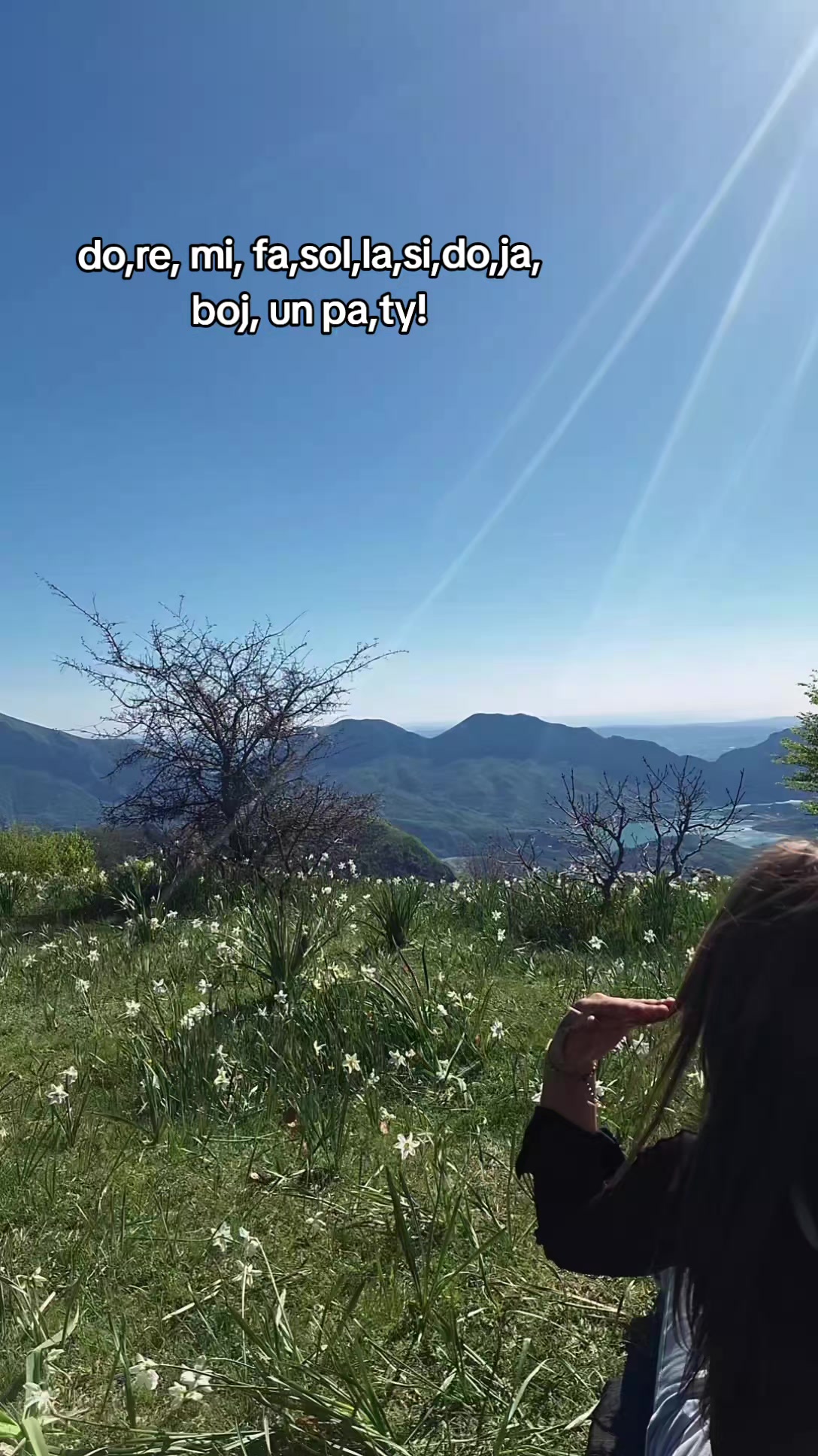 @🍃
