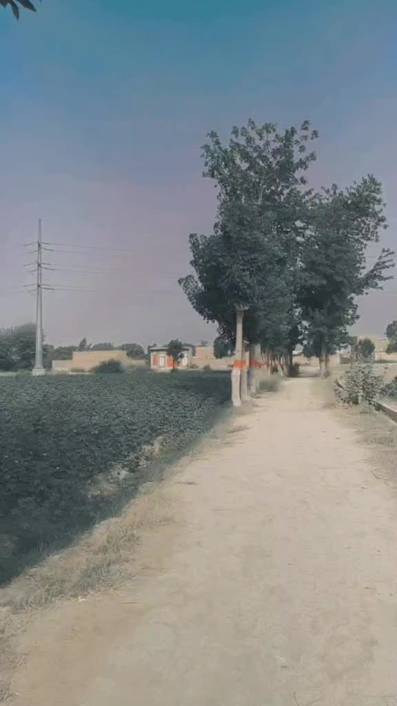 @shahjan lakho
