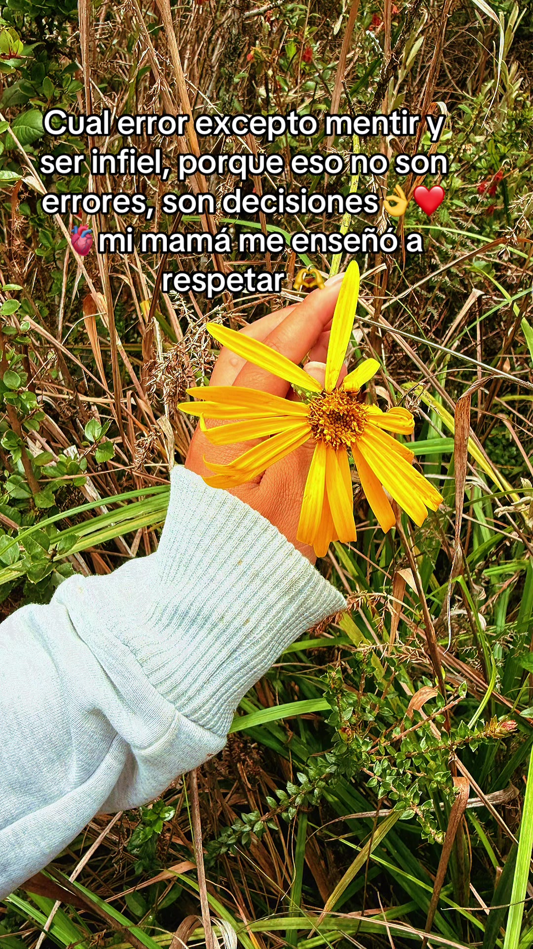 @Maribel Poalacin