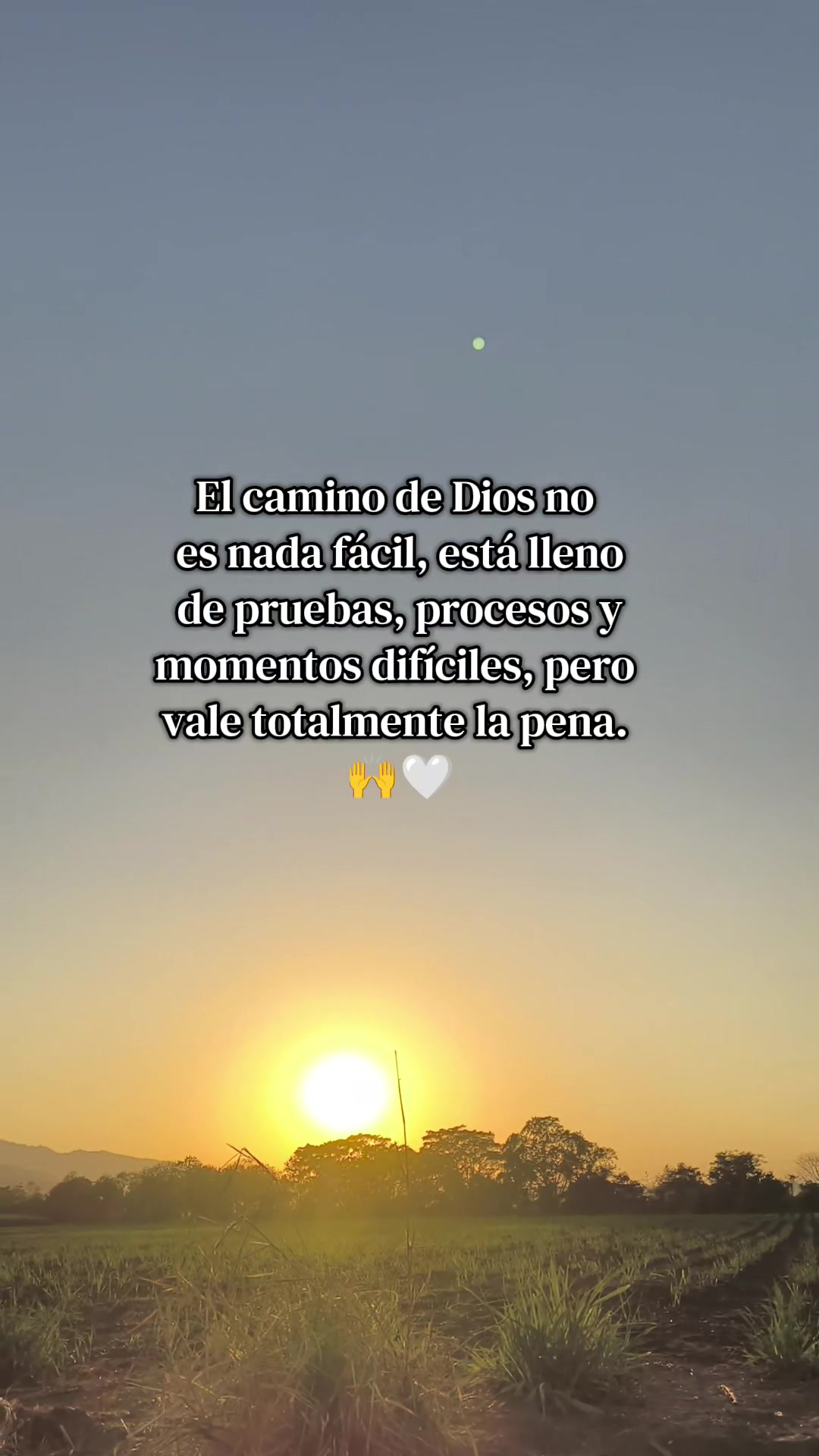 @Any✨️