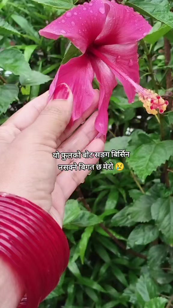 @NATIJA ❤️🕉️🔱🙏🏻