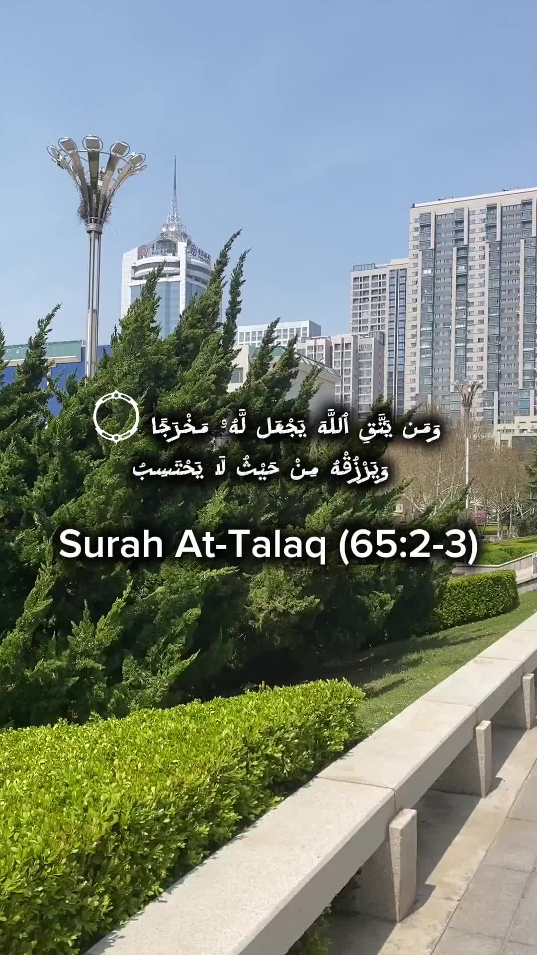 @Amjad