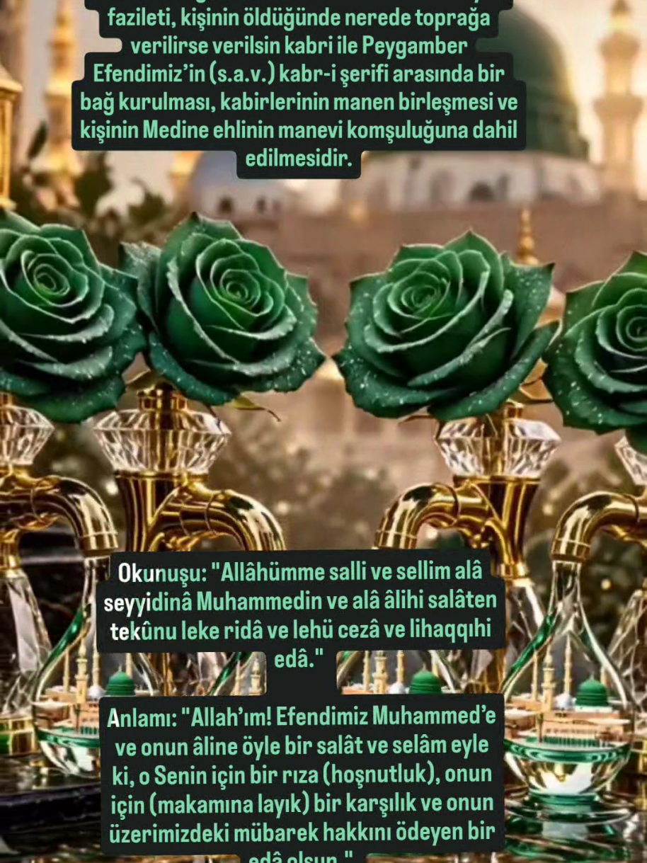 @hayat nereye gidiyor