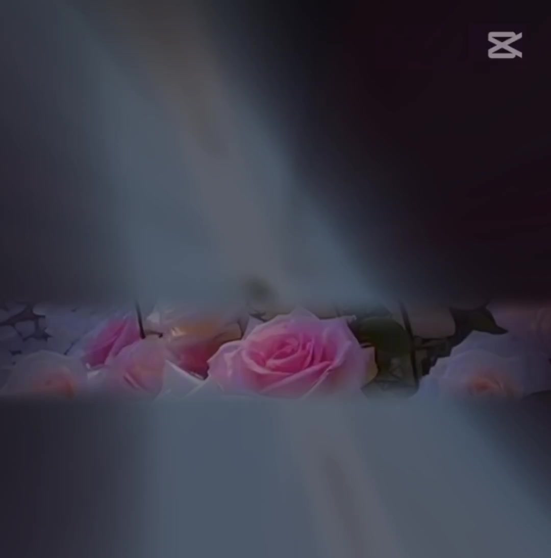 @تقیہ شہزادی❤