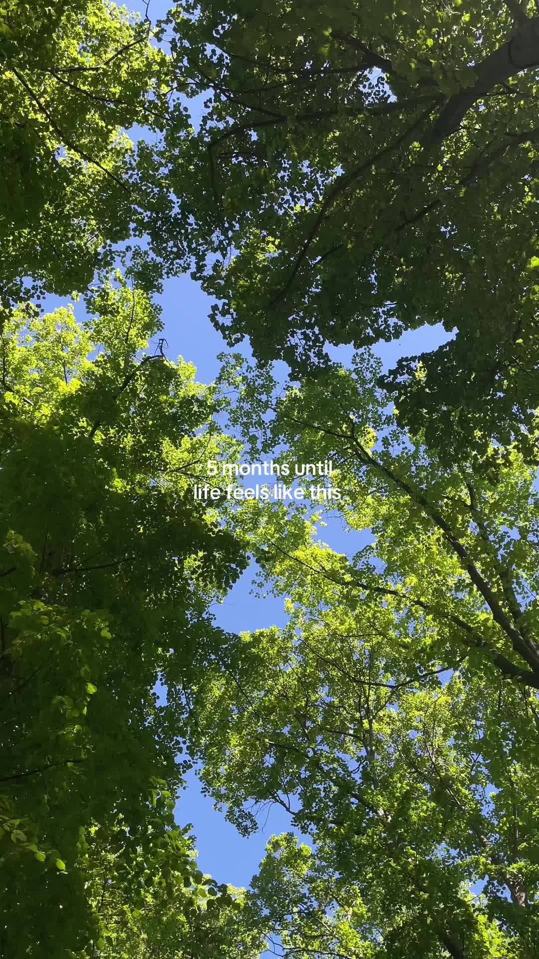 @Jannik