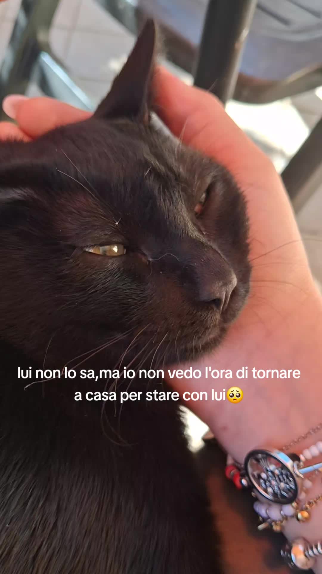 @𝓖𝓲𝓾𝓵𝓲𝓪🍃