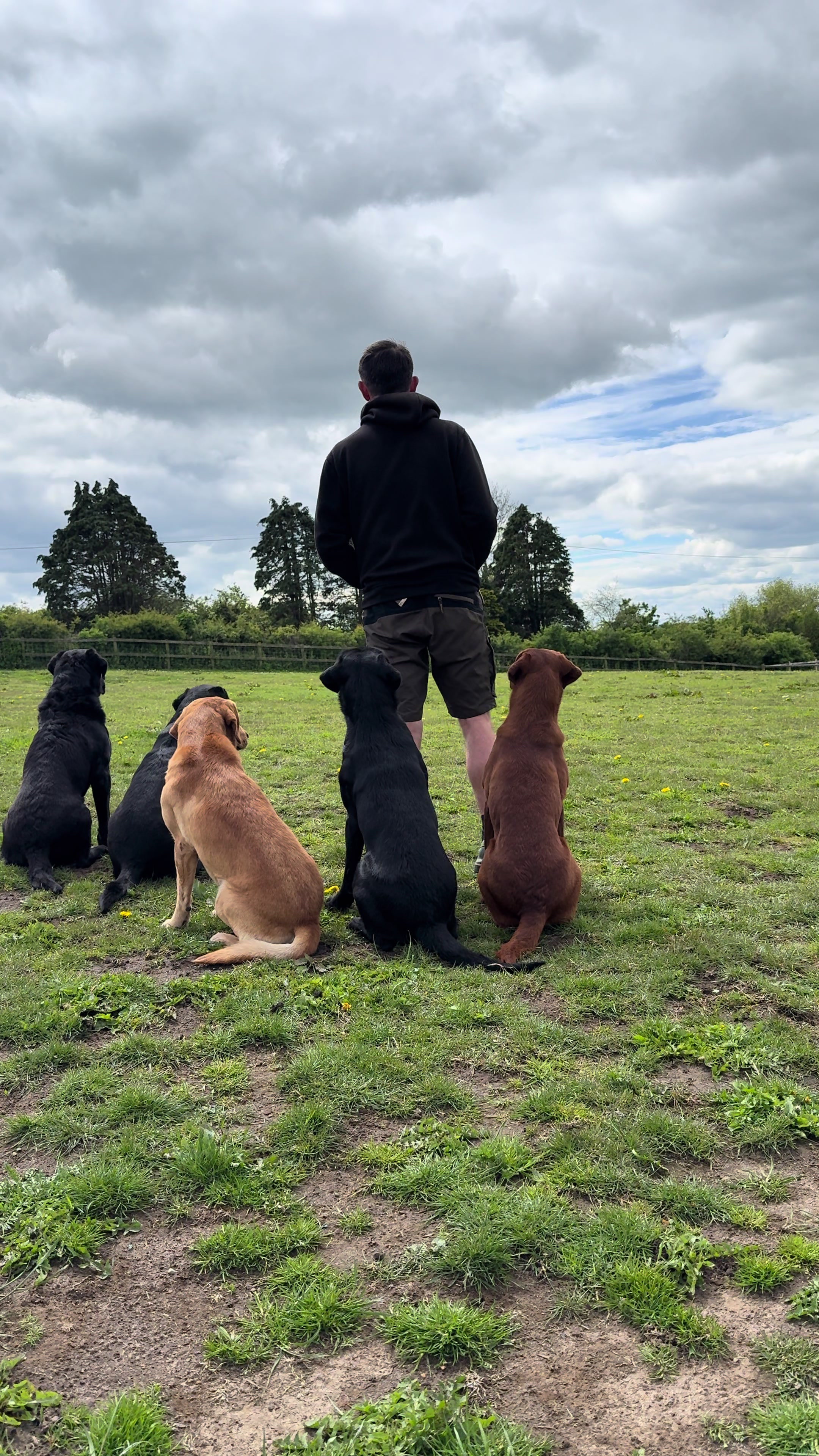 @slingleygundogs