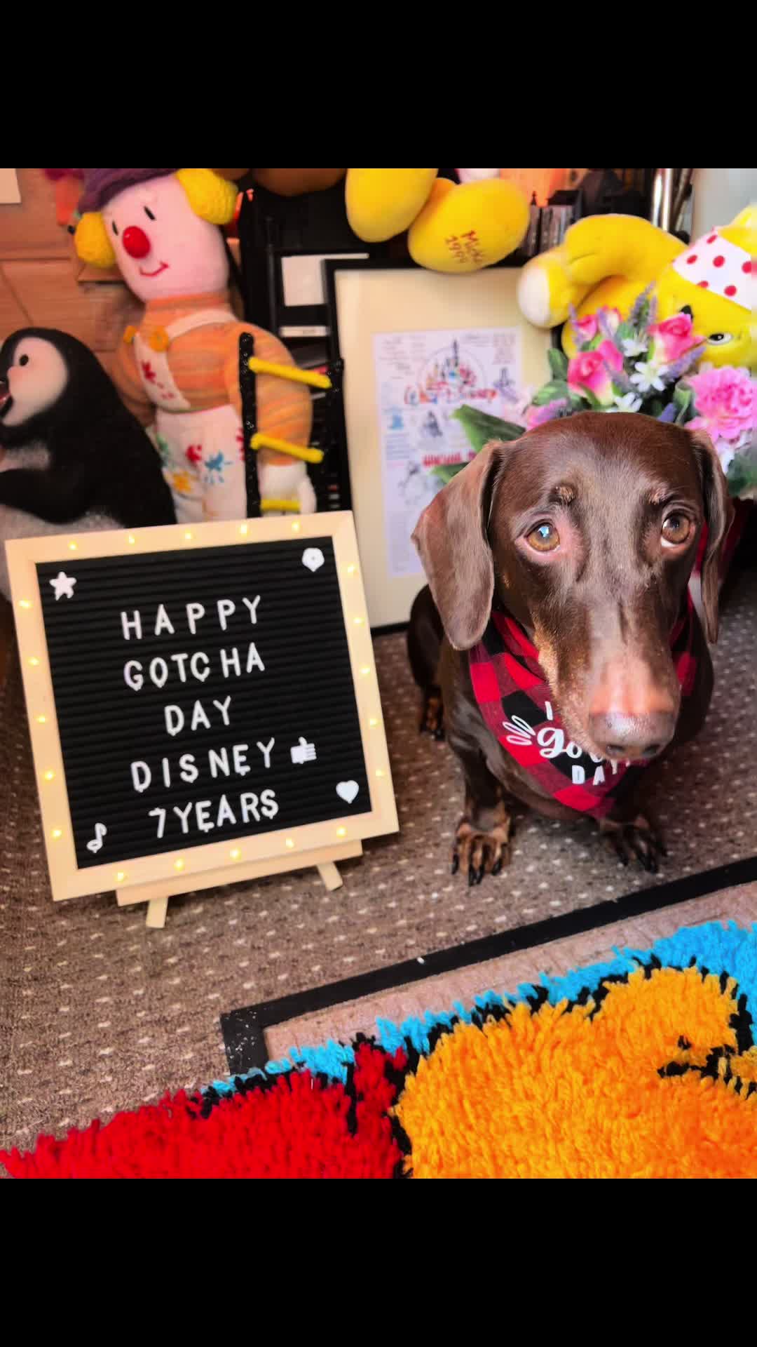 @disneythedachshund
