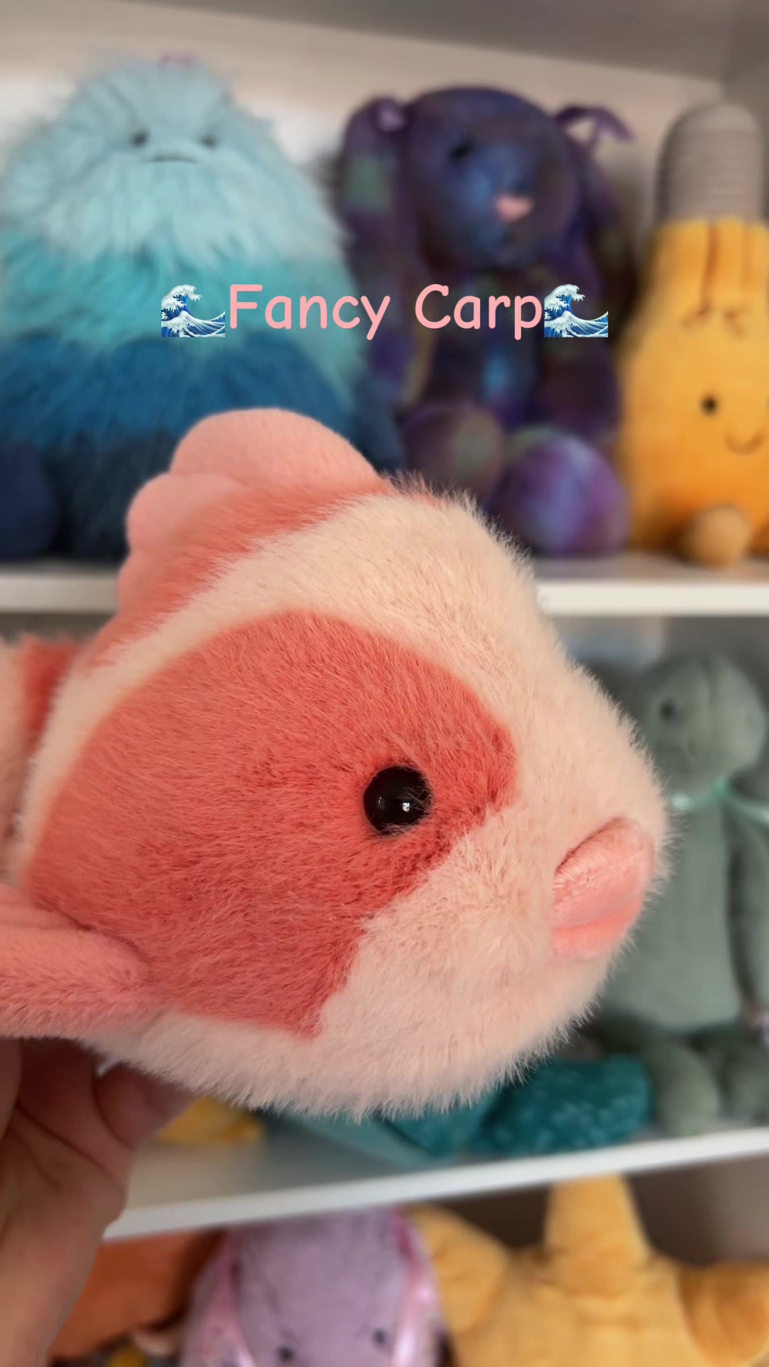 @DarceysJellycats✨